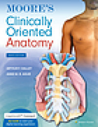 Moore's clinically oriented anatomy